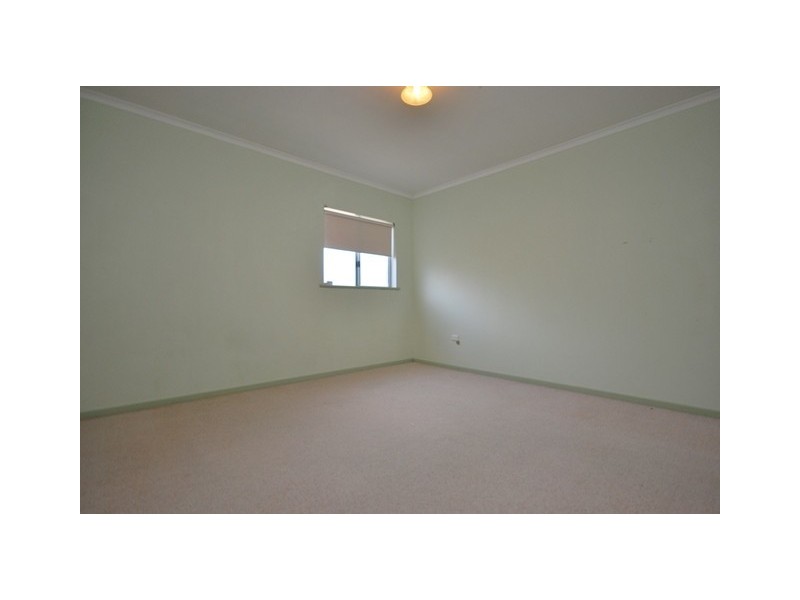 43 Romalo Avenue, Magill SA 5072