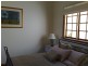 20 Grace Street, Goodwood SA 5034