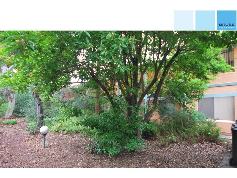 6/306 Fullarton Road, Fullarton SA 5063