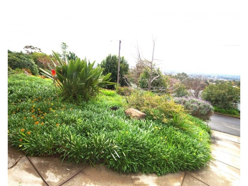 4a Gordon Place, Beaumont SA 5066