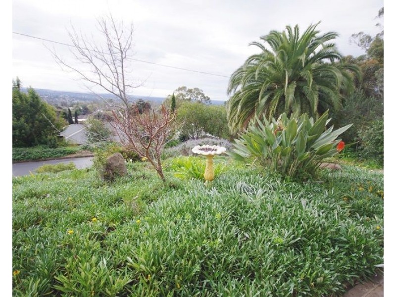 4a Gordon Place, Beaumont SA 5066