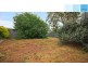 11 Ridgefield Avenue, Dernancourt SA 5075