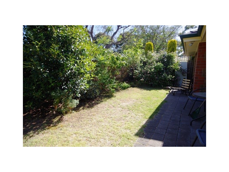 48 Main Avenue, Frewville SA 5063