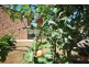 27A Webster Street, Klemzig SA 5087