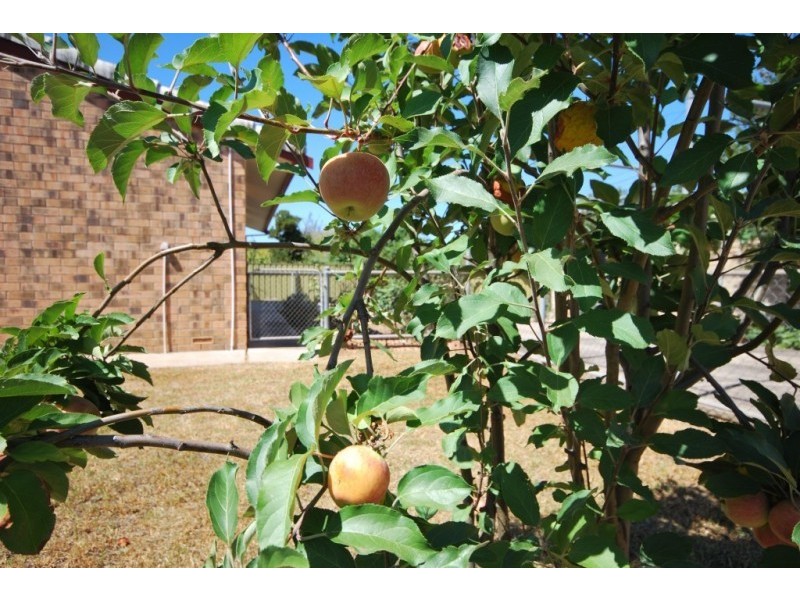 27A Webster Street, Klemzig SA 5087