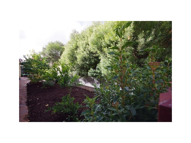 12 Clifton Street, Maylands SA 5069