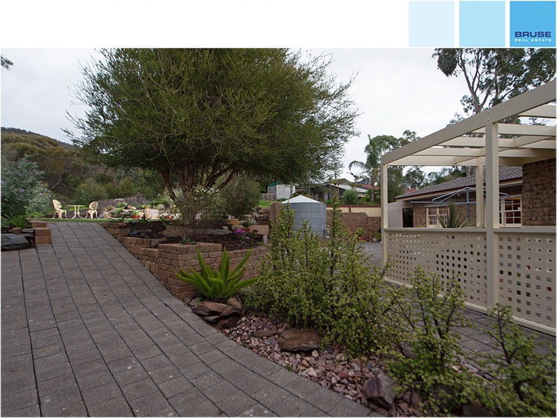 13 Telopea Drive, Athelstone SA 5076