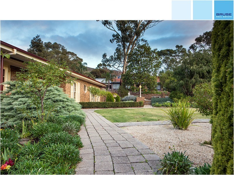 13 Telopea Drive, Athelstone SA 5076