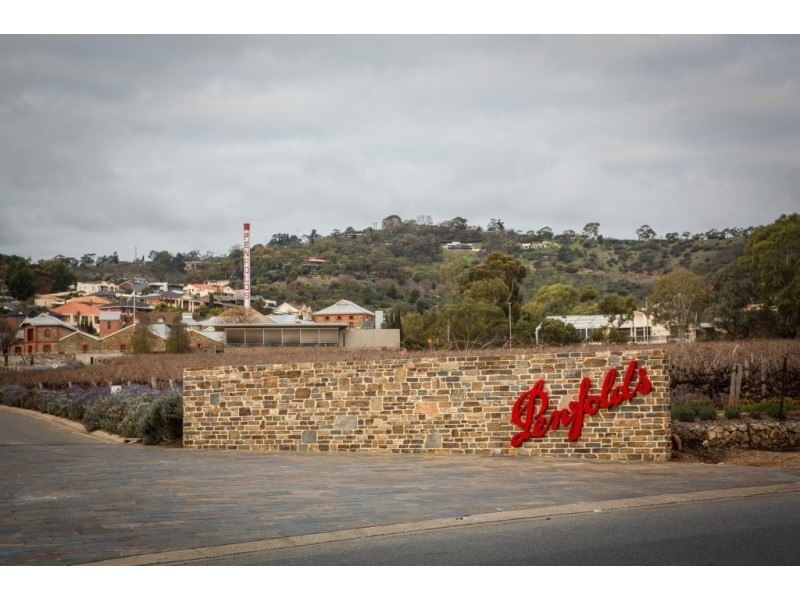 68 Park Avenue, Rosslyn Park SA 5072