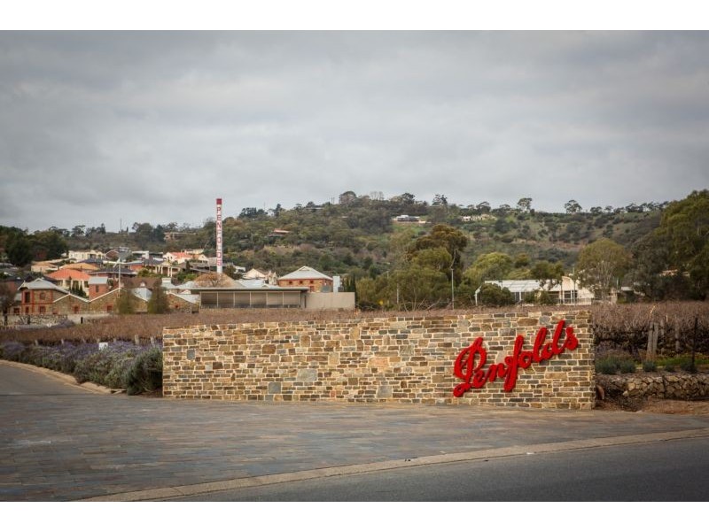 68 Park Avenue, Rosslyn Park SA 5072