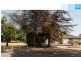 23 Pepper Street, Magill SA 5072