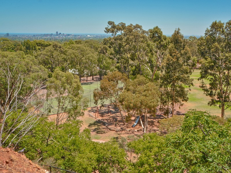 33 Royal Avenue, Burnside SA 5066