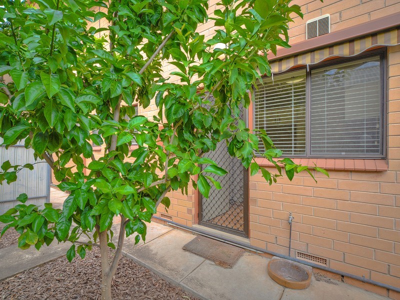 Res. 4/26 Avenue Road, Frewville SA 5063