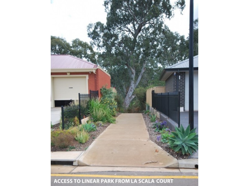 45 George Street, Paradise SA 5075