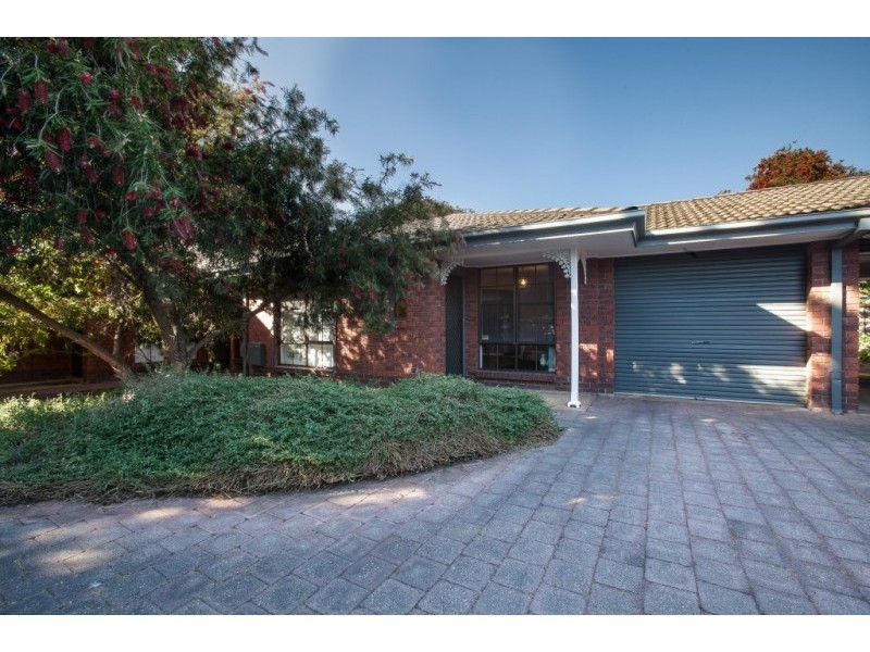 5/185 Anzac Highway, Kurralta Park SA 5037