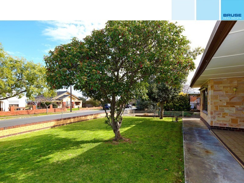 8 Cardigan Avenue, Felixstow SA 5070