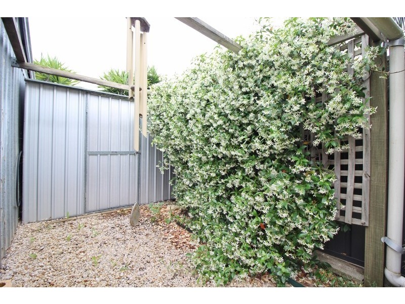 25 Andrea Avenue, Newton SA 5074