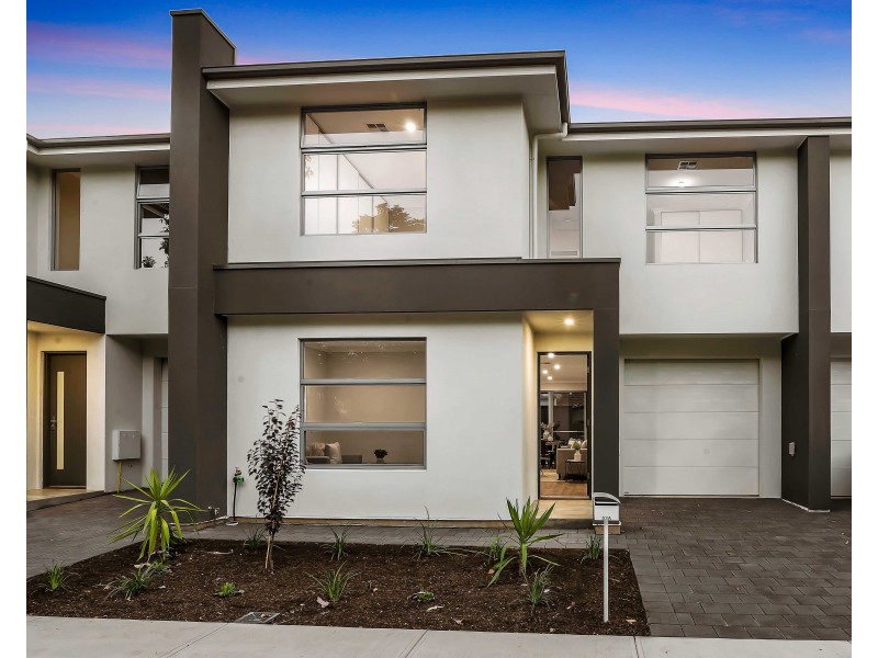 52A Farnham Road, Ashford SA 5035