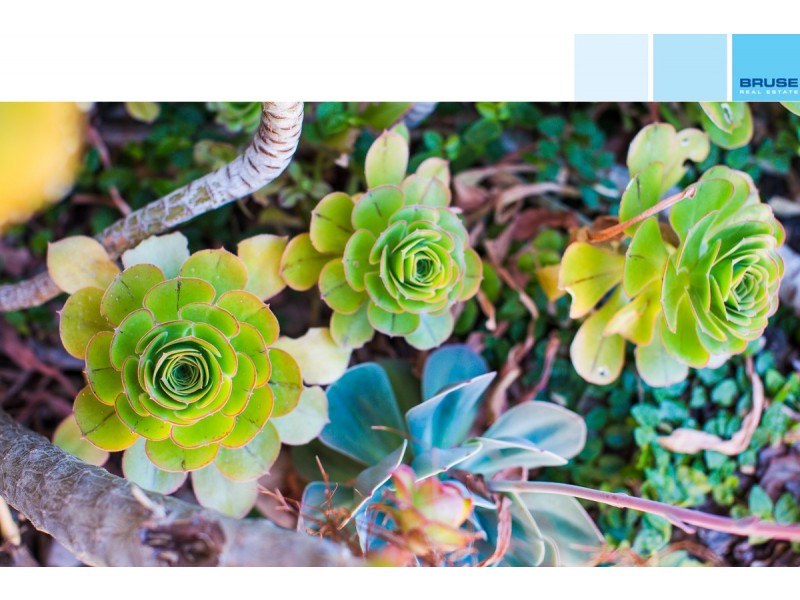 6/2 Briar Road, Felixstow SA 5070