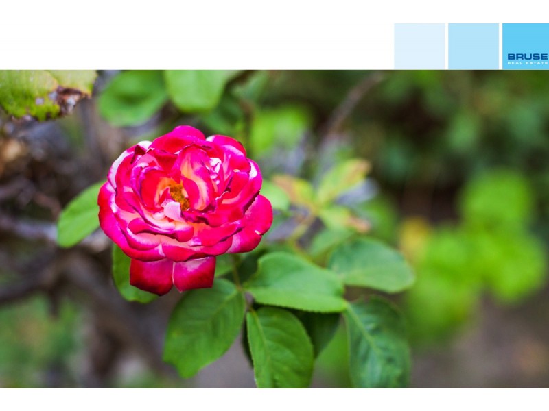 18 Joseph Avenue, Wattle Park SA 5066