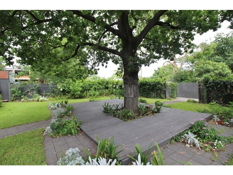 17 Alpha Street, Kensington Park SA 5068