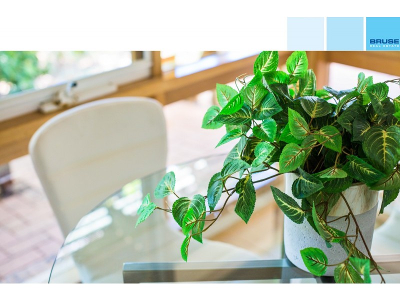 569 The Parade, Magill SA 5072