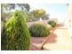 2 Friendship Crescent, Wynn Vale SA 5127