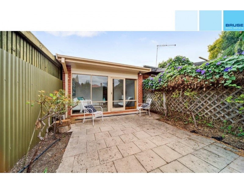 17 Clyde Street, Parkside SA 5063