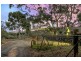 108 Olave Hill Road (Enter via Upper Sturt Road), Hawthorndene SA 5051