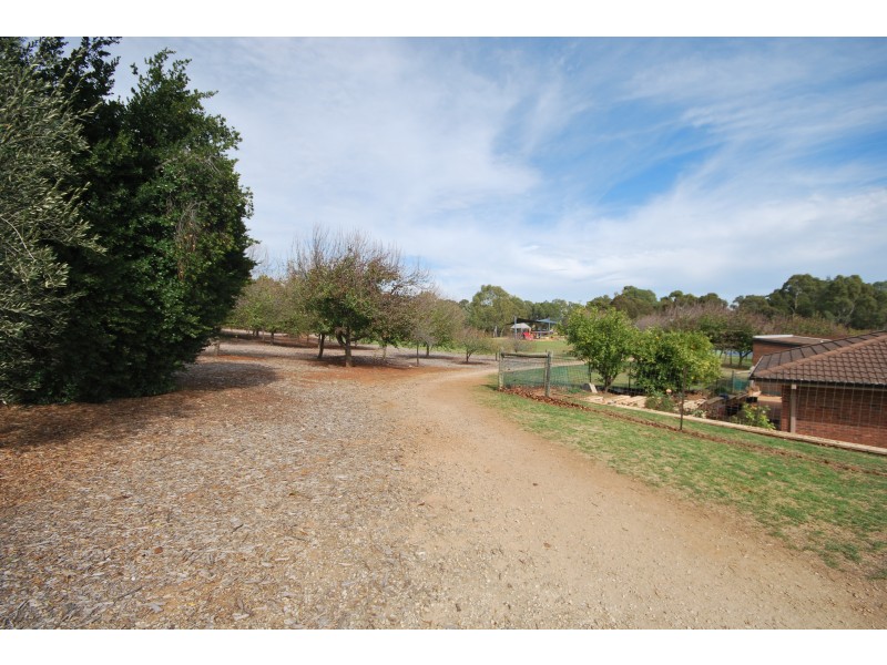 Lot 1 & 2, 43 Romalo Avenue, Magill SA 5072