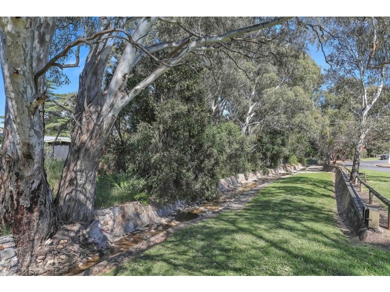 15 Richardson Avenue, Tranmere SA 5073