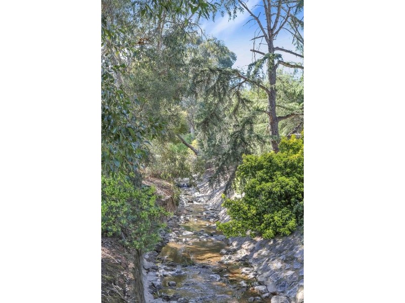 15 Richardson Avenue, Tranmere SA 5073