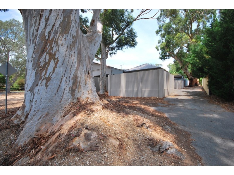 585 Glynburn Road, Hazelwood Park SA 5066