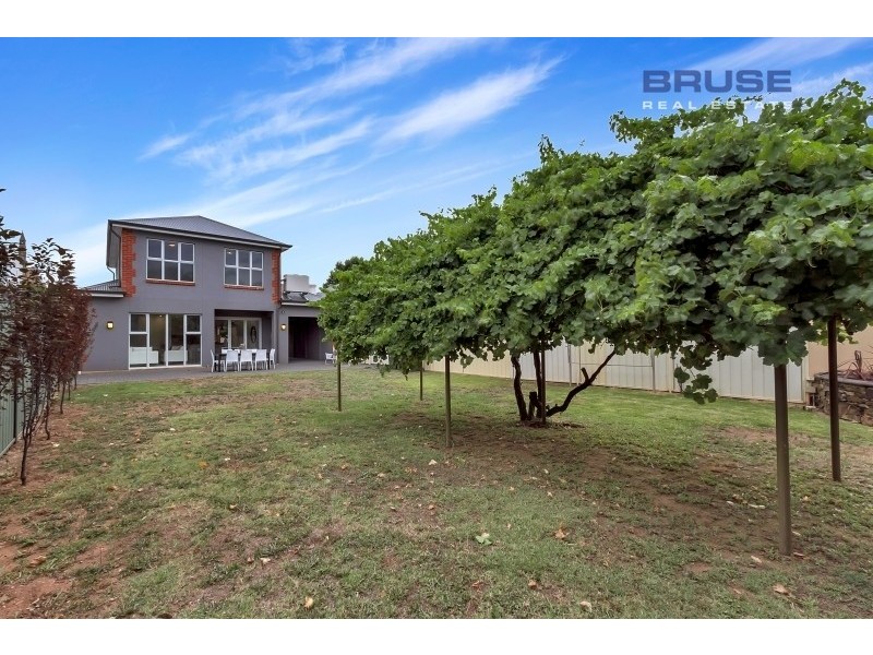 6 Baliol Street, College Park SA 5069