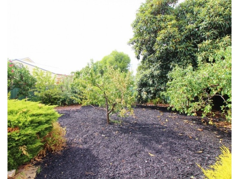 58 Hallett Avenue, Tranmere SA 5073