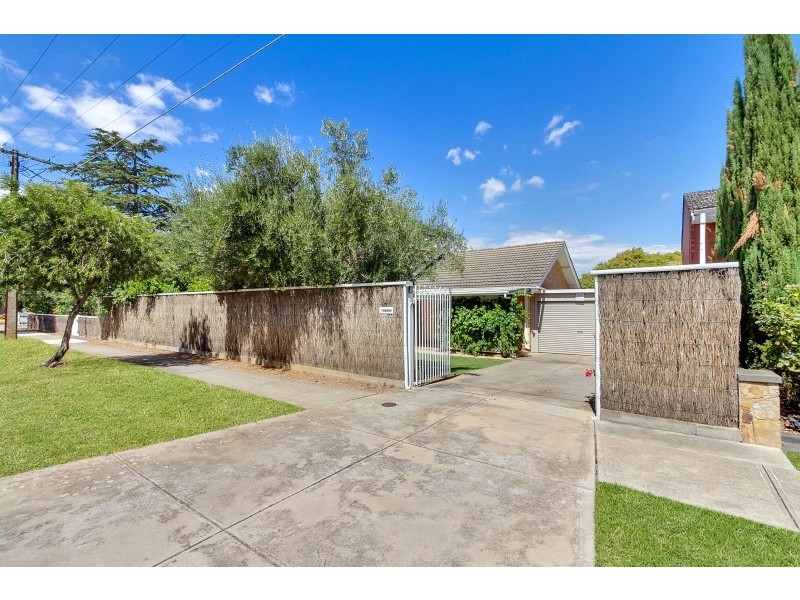 19 Garfield Street, Klemzig SA 5087