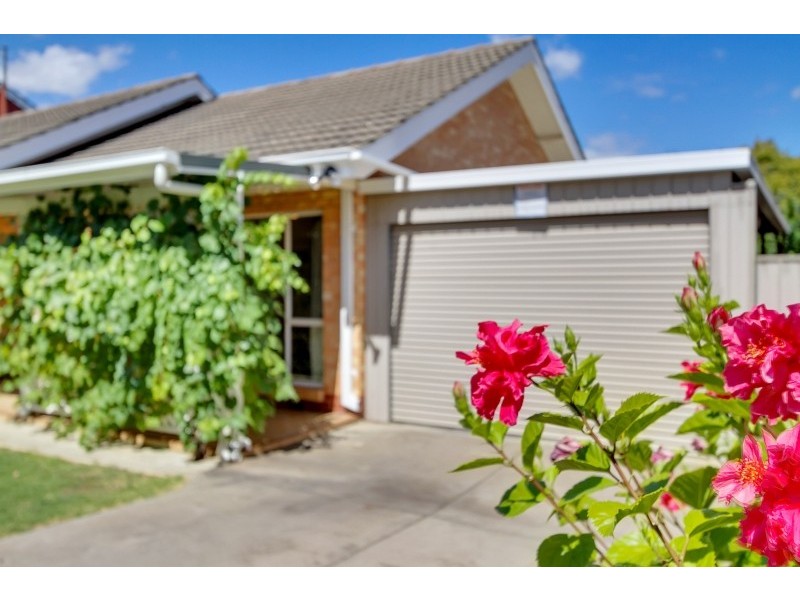 19 Garfield Street, Klemzig SA 5087