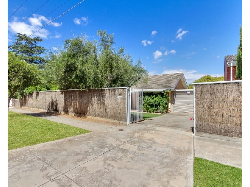 19 Garfield Street, Klemzig SA 5087