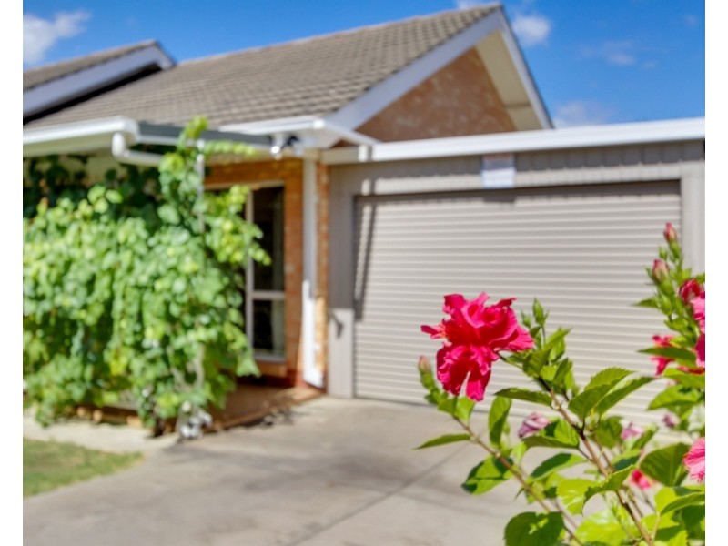 19 Garfield Street, Klemzig SA 5087