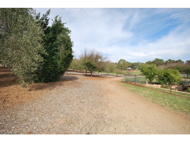 43A & 43B Romalo Avenue, Magill SA 5072