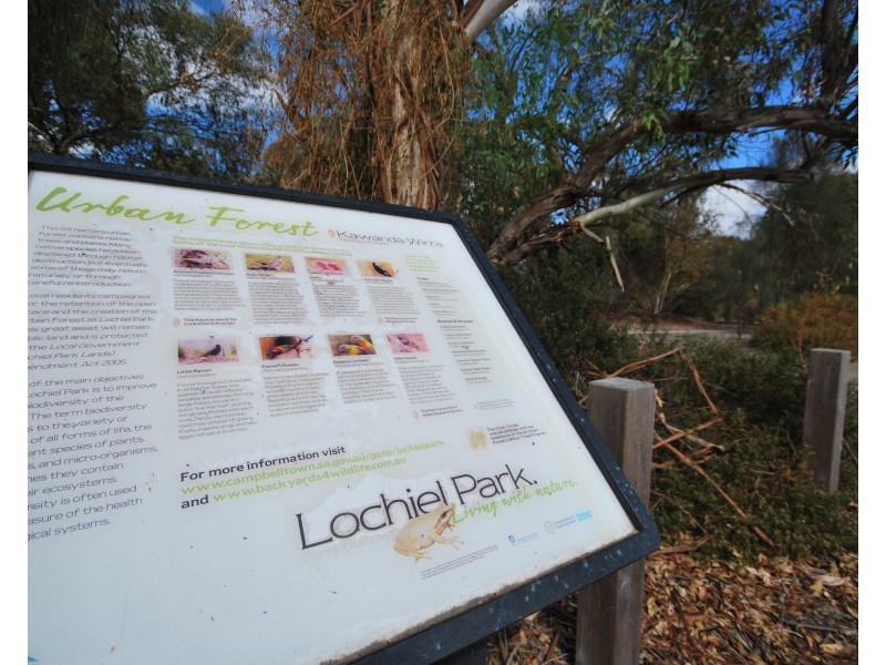 10 Raymel Crescent, Campbelltown SA 5074