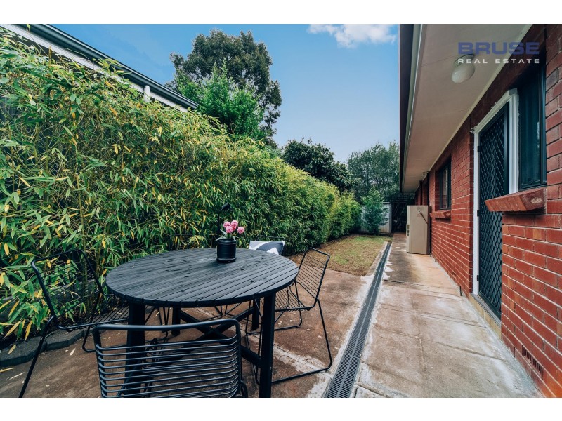 36 Lincoln Street, Kensington Gardens SA 5068