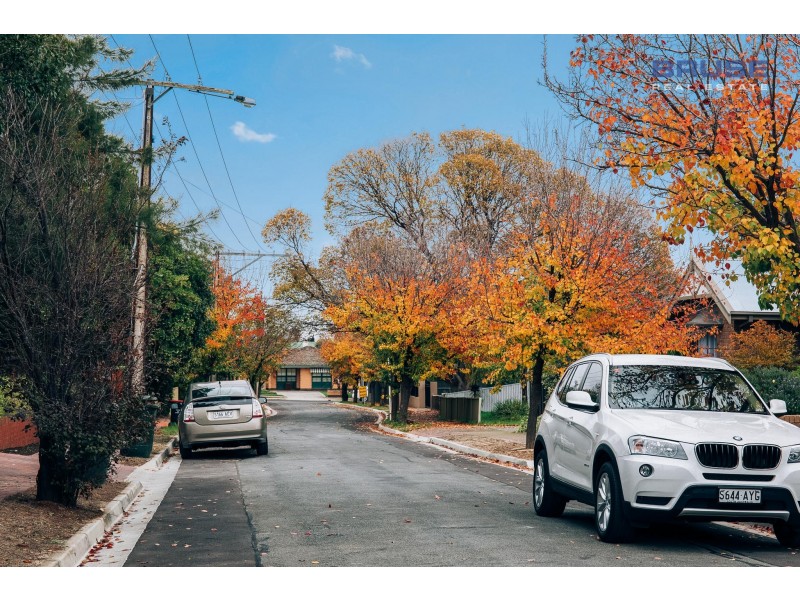 36 Lincoln Street, Kensington Gardens SA 5068