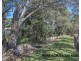 15 Richardson Avenue, Tranmere SA 5073