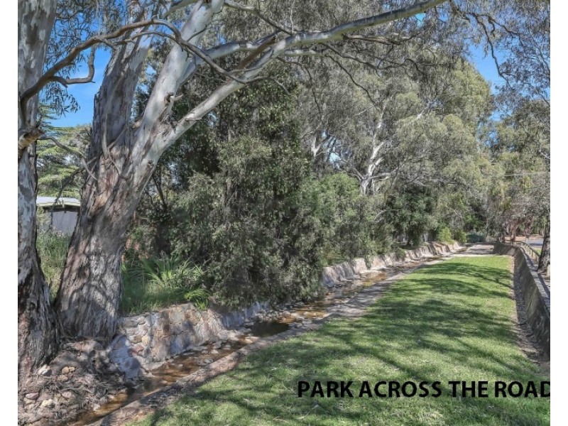 15 Richardson Avenue, Tranmere SA 5073