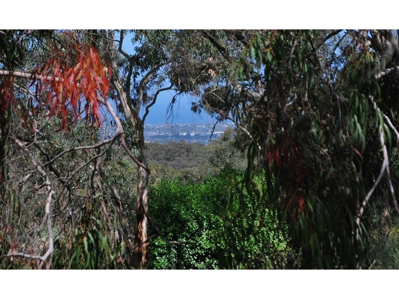 3 Aerial Road, Belair SA 5052