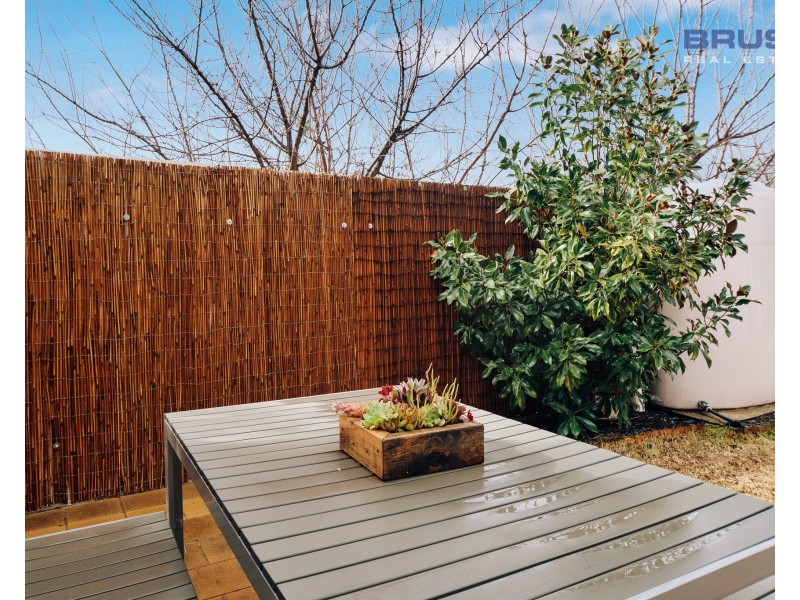 3D Young Street, Newton SA 5074