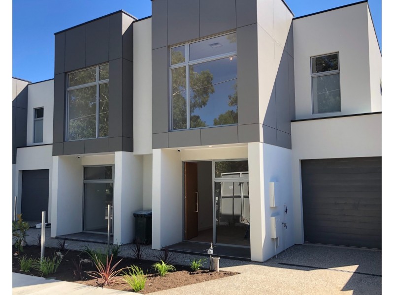 71 Hill Street, Campbelltown SA 5074