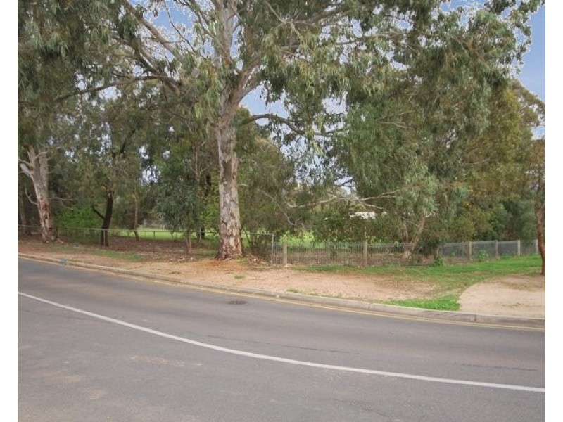 71 Hill Street, Campbelltown SA 5074