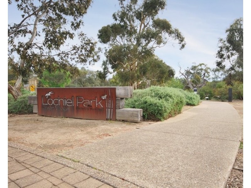 71 Hill Street, Campbelltown SA 5074